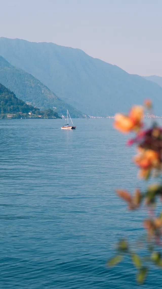Pink blossoms framing a calm lake and mountains